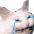 :cryingcat: