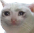 :sadcat: